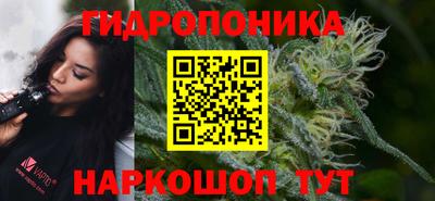гидропоника Новодвинск