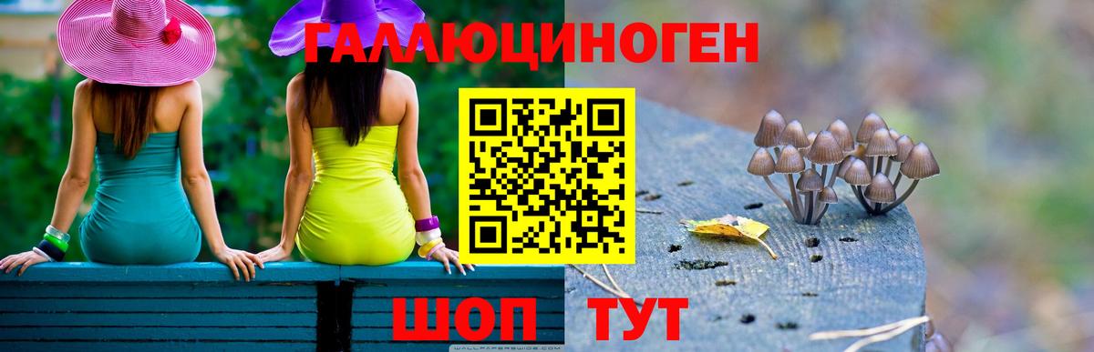 Галлюциногенные грибы MAGIC MUSHROOMS  Вход с VPN  Псилоцибиновые грибы мицелий  Анжеро-Судженск 